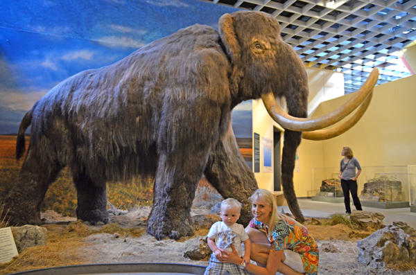 Mammut in Münster