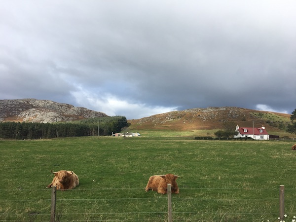 adcot Highlands Schottland Blog