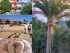 Besucher Fotos SBH Fuerteventura Playa
